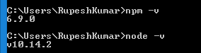 node and npm version check